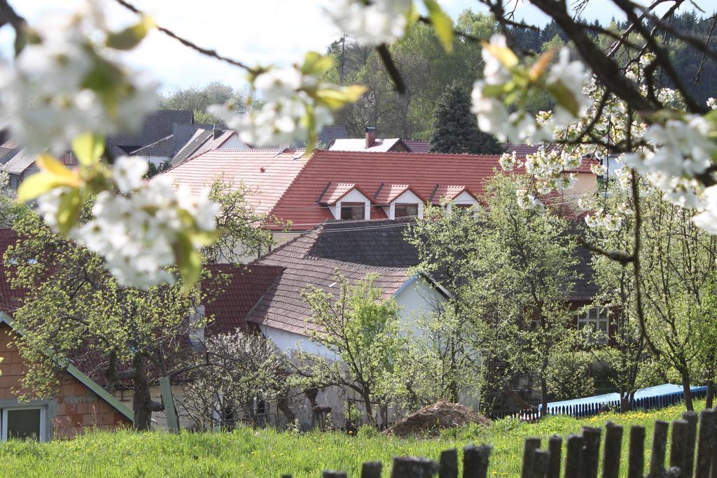 Penzion U Rudolfu Vlasenice Екстериор снимка